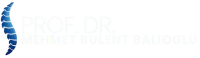 mehmet bülent balioğlu