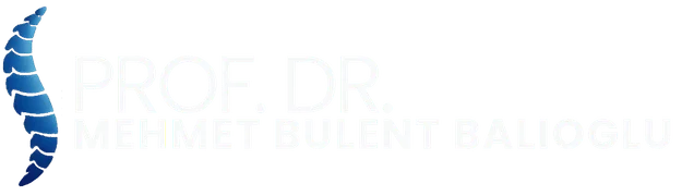 mehmet bülent balioğlu
